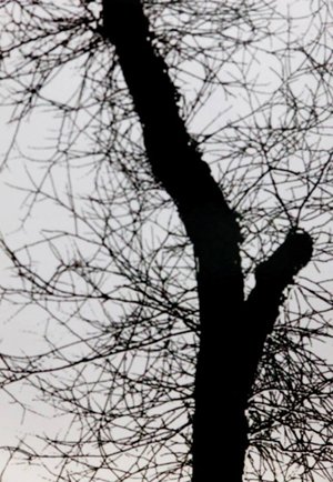 photography copyright begoña muñoz 2014 courtesy from the artist to klaussvandamme official website all rights reserved