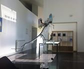 photography copyright cala gonzalez fernandez courtesy from the author to klaussvandamme official website all rights reserved