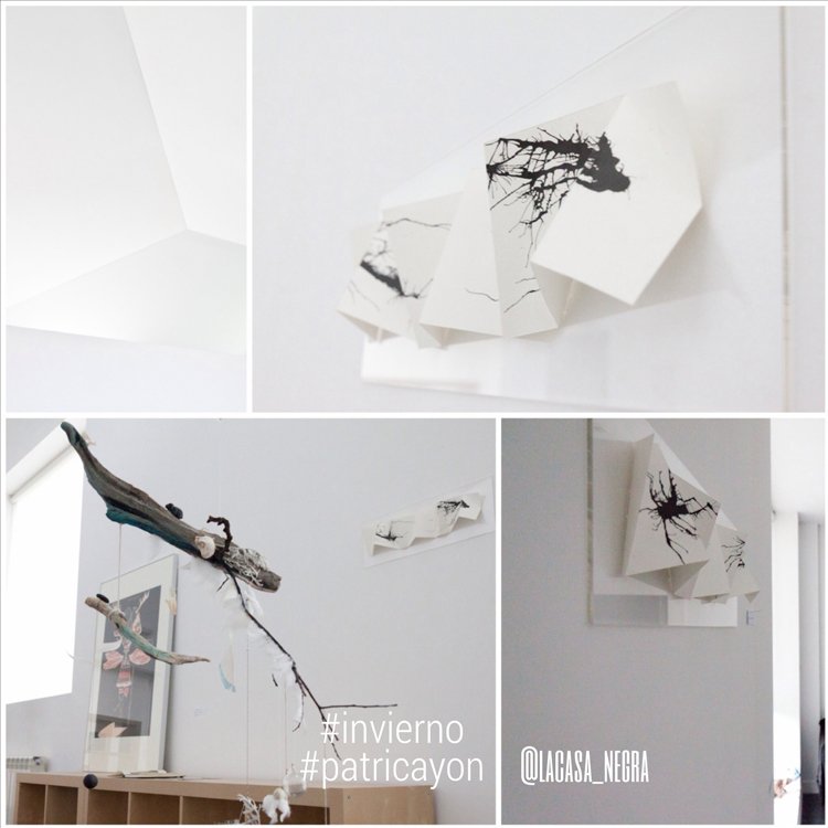 photography copyright antonio navarro 2014 courtesy from the artist to klauss van damme official website all rights reserved