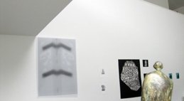 photography copyright begoña muñoz 2015 courtesy from the artist to klauss van damme official website all rights reserved