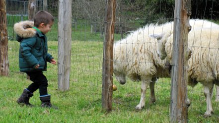 photography copyright begoña muñoz 2015 courtesy from the artist to klauss van damme official website all rights reserved