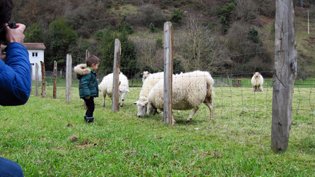 photography copyright begoña muñoz 2015 courtesy from the artist to klauss van damme official website all rights reserved