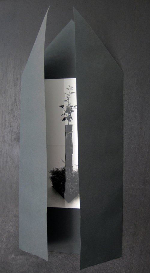 photography copyright begoña muñoz 2015 courtesy from the artist to klauss van damme official website all rights reserved