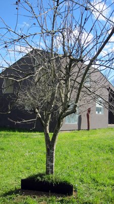 photography copyright begoña muñoz 2015 courtesy from the artist to klauss van damme official website all rights reserved