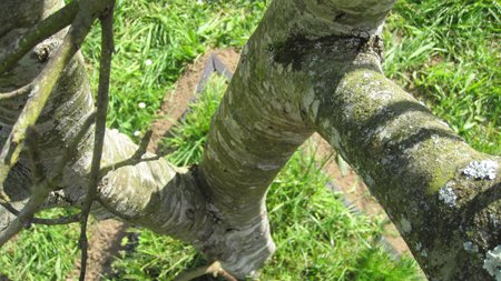 photography copyright begoña muñoz 2015 courtesy from the artist to klauss van damme official website all rights reserved