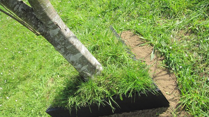 photography copyright begoña muñoz 2015 courtesy from the artist to klauss van damme official website all rights reserved