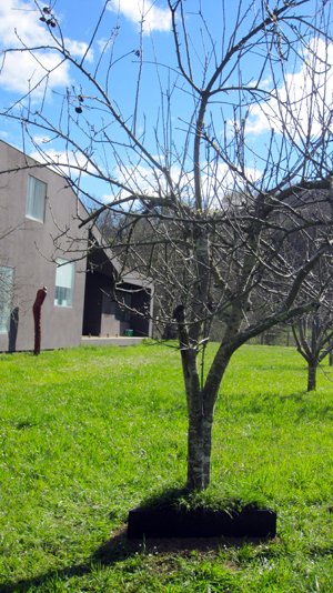 photography copyright begoña muñoz 2015 courtesy from the artist to klauss van damme official website all rights reserved