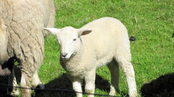 photography copyright begoña muñoz 2015 courtesy from the artist to klauss van damme official website all rights reserved