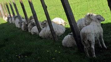 photography copyright begoña muñoz 2015 courtesy from the artist to klauss van damme official website all rights reserved