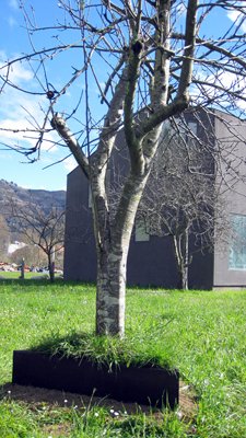 photography copyright begoña muñoz 2015 courtesy from the artist to klauss van damme official website all rights reserved