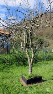 photography copyright begoña muñoz 2015 courtesy from the artist to klauss van damme official website all rights reserved