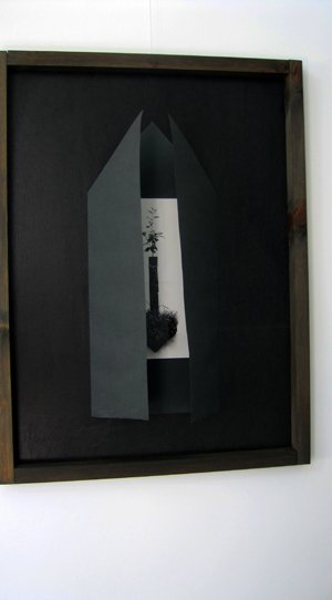 photography copyright begoña muñoz 2015 courtesy from the artist to klauss van damme official website all rights reserved