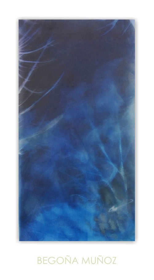 photography copyright begoña muñoz 2015 courtesy from the artist to klauss van damme official website all rights reserved