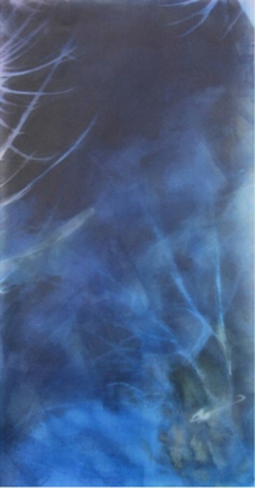 photography copyright begoña muñoz 2015 courtesy from the artist to klauss van damme official website all rights reserved