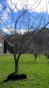 photography copyright begoña muñoz 2015 courtesy from the artist to klauss van damme official website all rights reserved