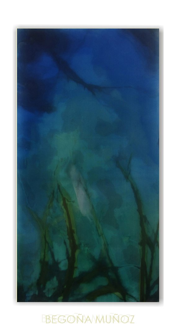 photography copyright begoña muñoz 2015 courtesy from the artist to klauss van damme official website all rights reserved