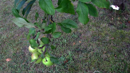 photography copyright begoña muñoz 2014 courtesy from the artist to klaussvandamme official website all rights reserved