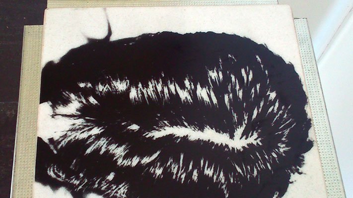 photography copyright begoña muñoz 2014 courtesy from the artist to klaussvandamme official website all rights reserved