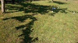 photography copyright begoña muñoz 2014 courtesy from the artist to klaussvandamme official website all rights reserved