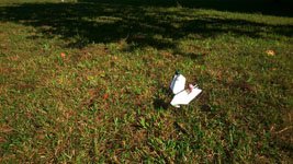 photography copyright begoña muñoz 2014 courtesy from the artist to klauss van damme official website all rights reserved