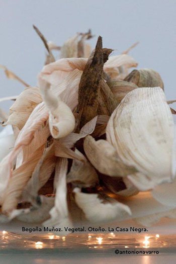 photography copyright antonio navarro 2013 courtesy from the artist to klaussvandamme official website all rights reserved