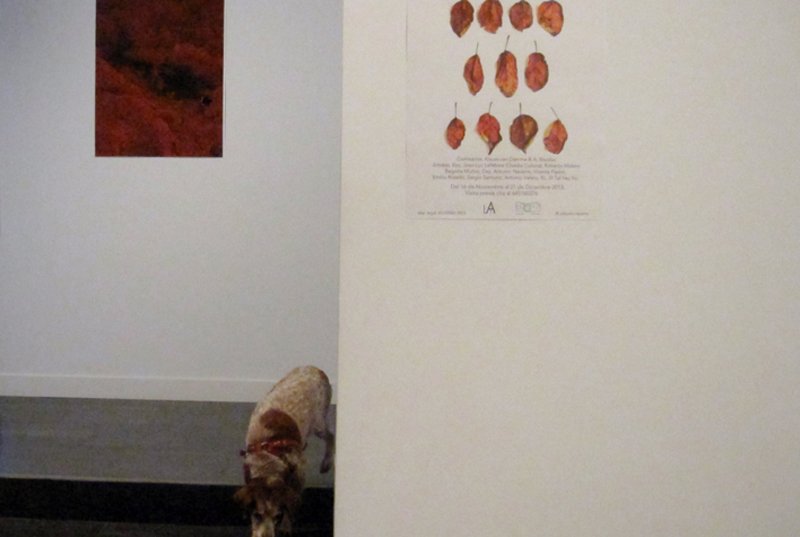 photography copyright begoña muñoz 2013 courtesy from the artist to klaussvandamme official website all rights reserved