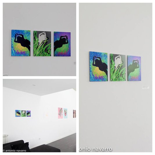 photography copyright begoña muñoz 2014 courtesy from the artist to klauss van damme official website all rights reserved 