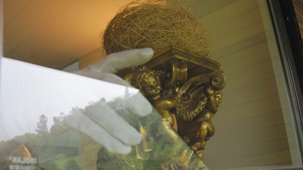 photography copyright begoña muñoz 2014 courtesy from the artist to klauss van damme official website all rights reserved 