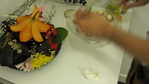 photography copyright begoña muñoz 2014 courtesy from the artist to klauss van damme official website all rights reserved 