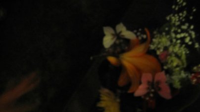 photography copyright begoña muñoz 2014 courtesy from the artist to klauss van damme official website all rights reserved 