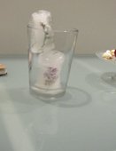 photography copyright begoña muñoz 2014 courtesy from the artist to klauss van damme official website all rights reserved 