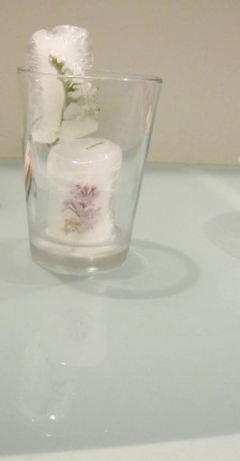 photography copyright begoña muñoz 2014 courtesy from the artist to klaussvandamme official website al l rights reserved