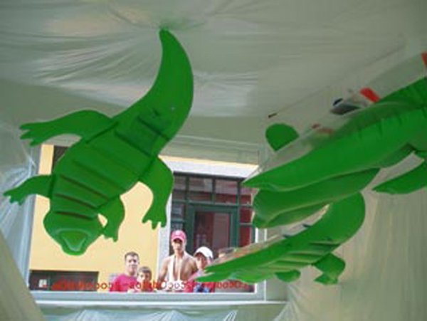  copyright begoña muñoz courtesy from the artist to klauss van damme official website all rights reserved vegap