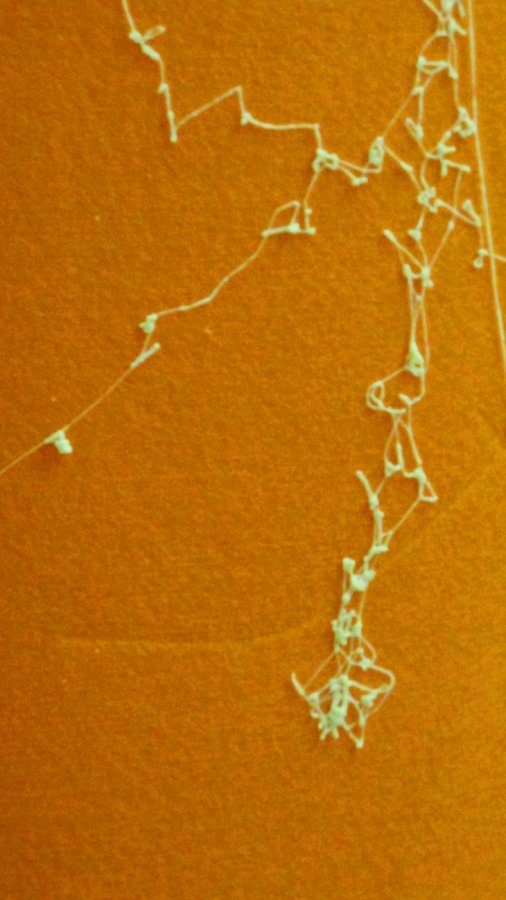 copyright begoña muñoz 2013 courtesy from the artist to klaussvandamme official website all rights reserved vegap