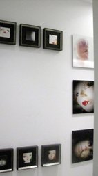 photography copyright begoña muñoz 2016 courtesy from the artist to klauss van damme official website all rights reserved vegap