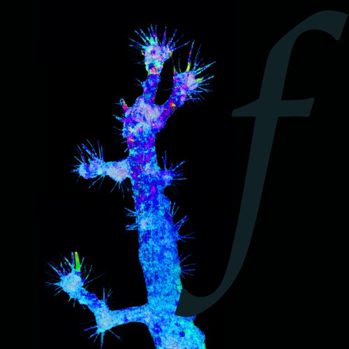 copyright begoña muñoz 2013 courtesy from the artist to klausvandamme official website all rights reserved vegap