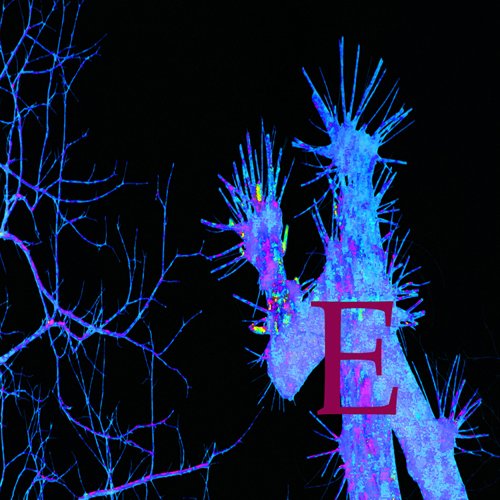 copright begoña muñoz z2013 courtesy from the artist to klauss van damme official website all rights reserved vegap