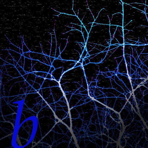 copyright begoña muñoz 2013 courtesy from the artist to klauss van damme official website all rights  reserved vegap