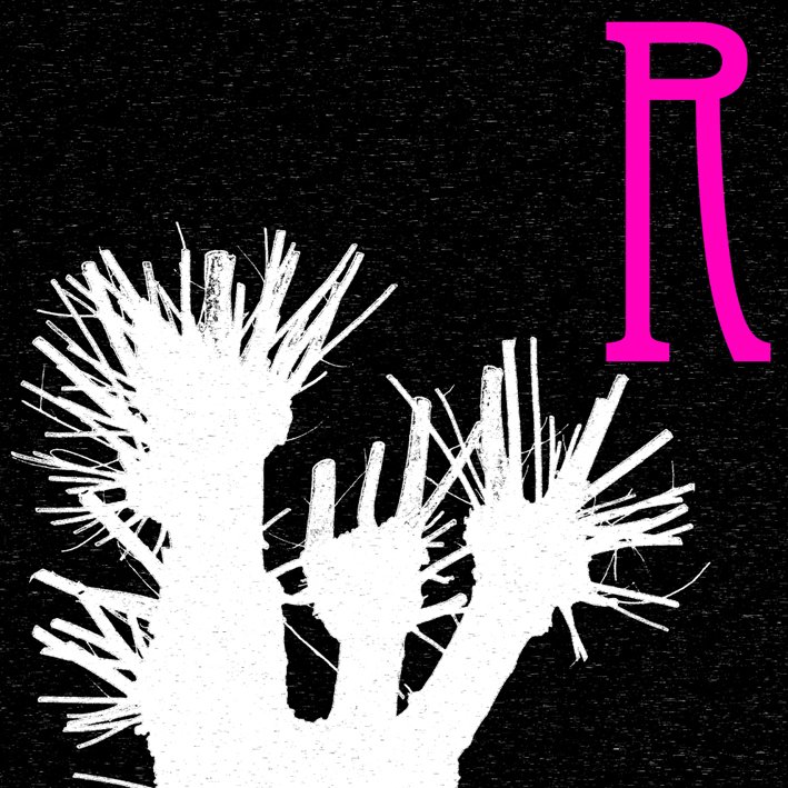 copyright begoña muñoz 2013 courtesy from the artist to klauss van damme official website all rights reserved vegap