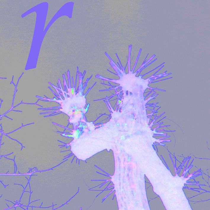 copyright begoña muñoz 2013 courtesy from the artist to klauss van damme offcial website all rights reserved vegap