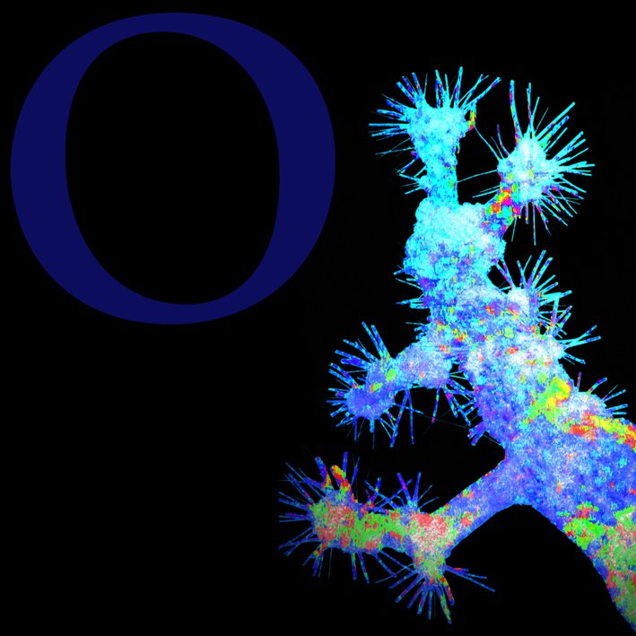 copyright begoña muños 2013 courtesy from the artist to klauss van damme official website all ights reserved vegap