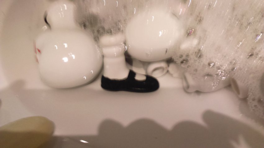 photography copyright begoña muñoz 2016 bmz_ all rights reserved