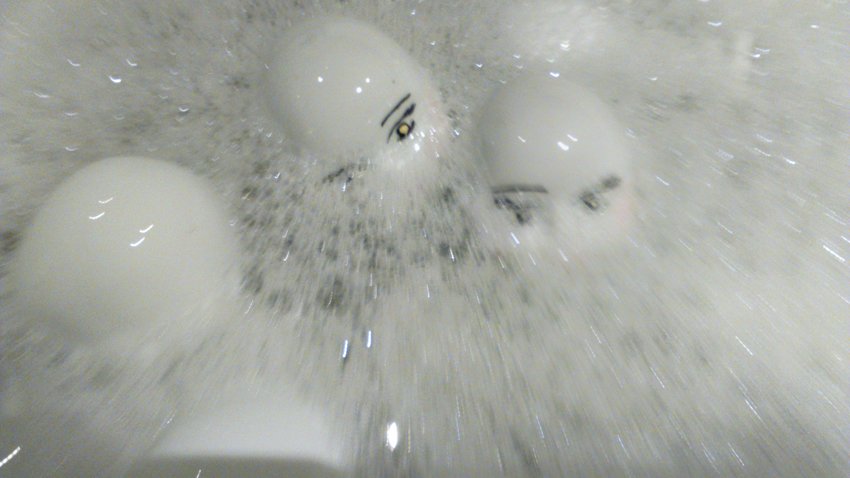 photography copyright begoña muñoz 2016 bmz_ all rights reserved