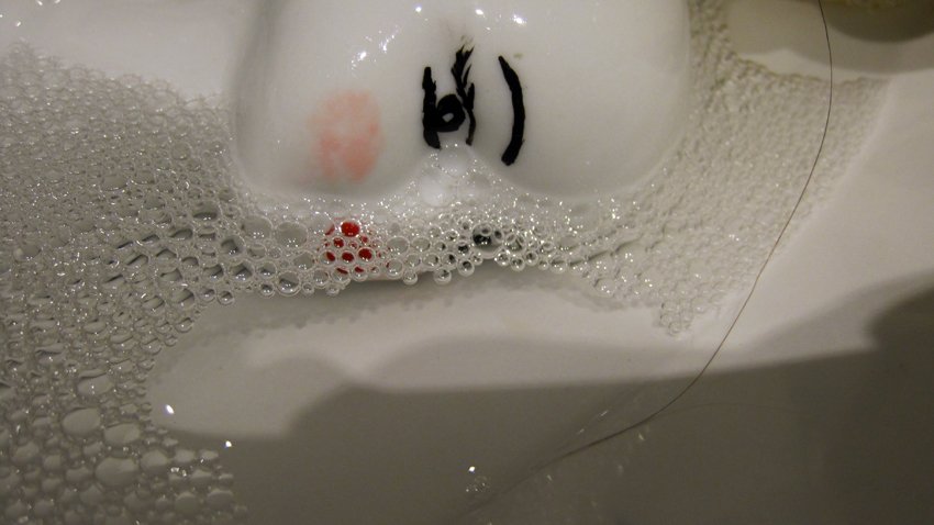 photography copyright begoña muñoz 2016 bmz_ all rights reserved