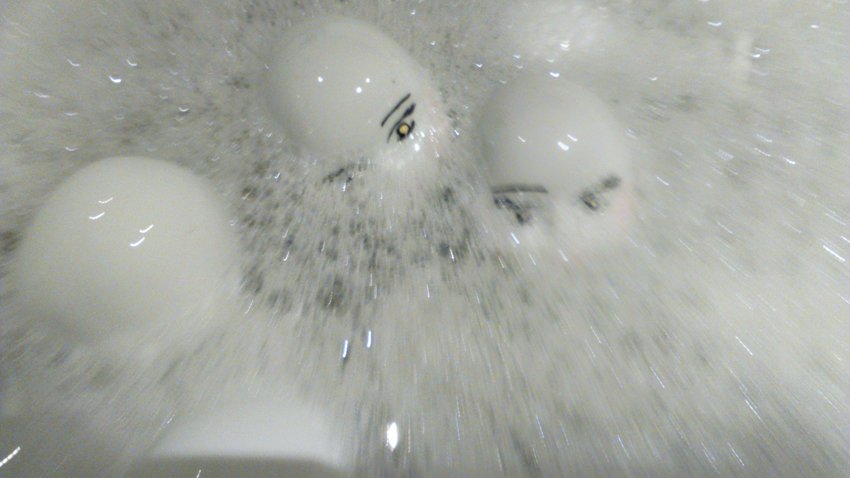 photography copyright begoña muñoz 2016 bmz_ all rights reserved