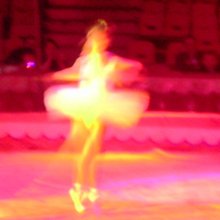 photography copyright begoña muñoz 2004 courtesy from the artist to klaussvandamme official website all rights reserved