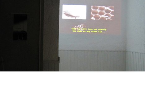 photography copyright begoña muñoz 2011 courtesy from the artist to klaussvandamme official website all rights reserved