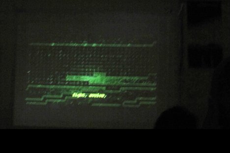 photography copyright begoña muñoz 2011 courtesy from the artist to klaussvandamme official website all rights reserved