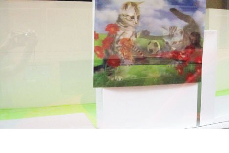 photography copyright begoña muñoz 2012 courtesy from the artist to klaussvandamme official website all rights reserved