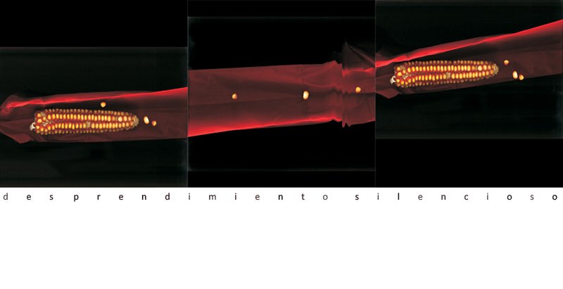 photography copyright begoña muñoz 2011 courtesy from the artist to klauss van damme official website all rights reserved